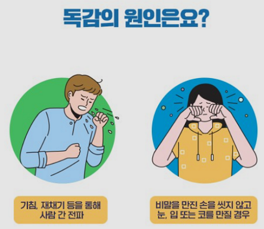 독감의 원인