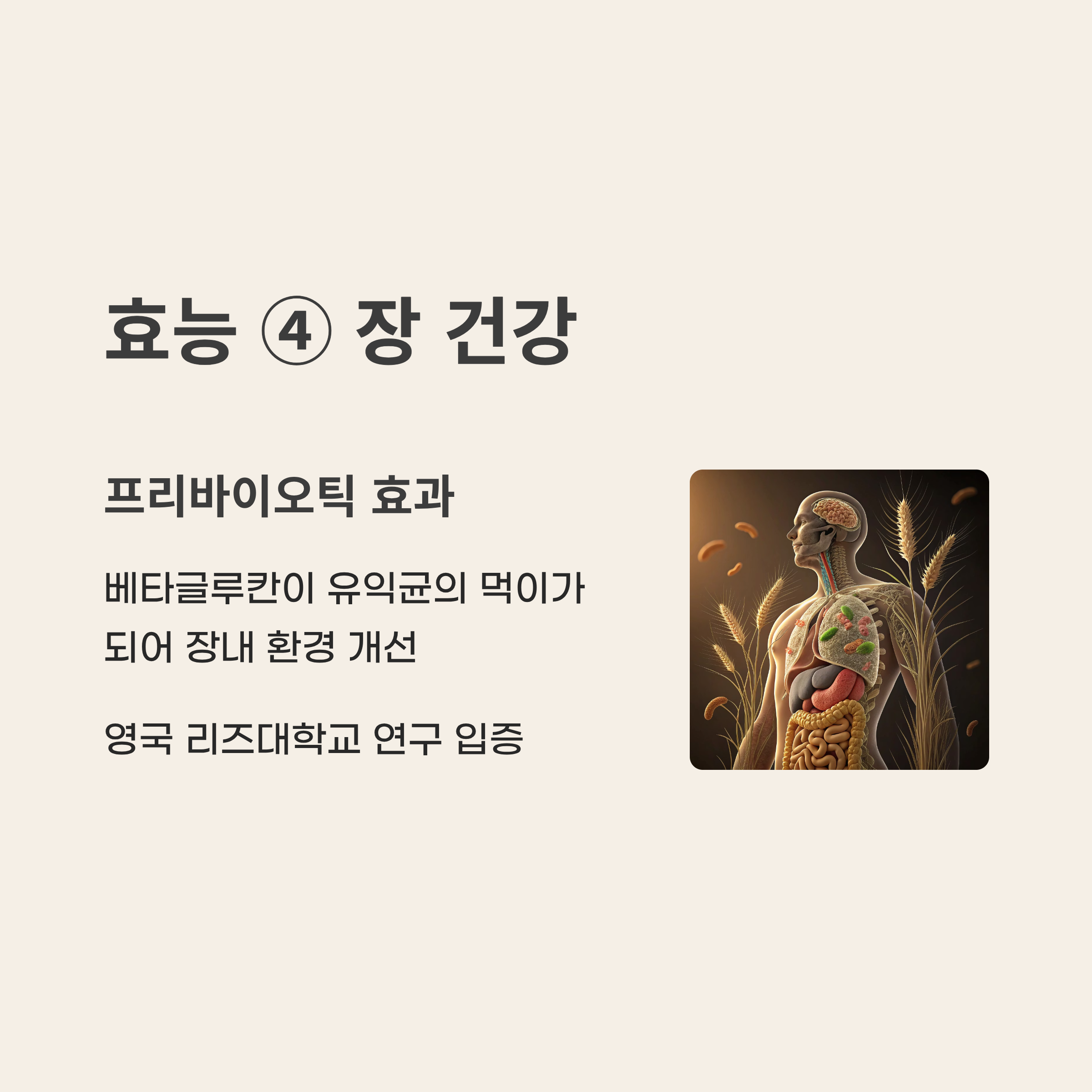 귀리 효능과 부작용 2025 완벽 가이드 – 슈퍼푸드 효능과 숨겨진 함정 총정리!