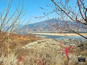 광양 가볼만한곳 추천 맛집 카페 실내 BEST 10_9