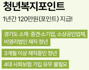 경기도 청년복지포인트