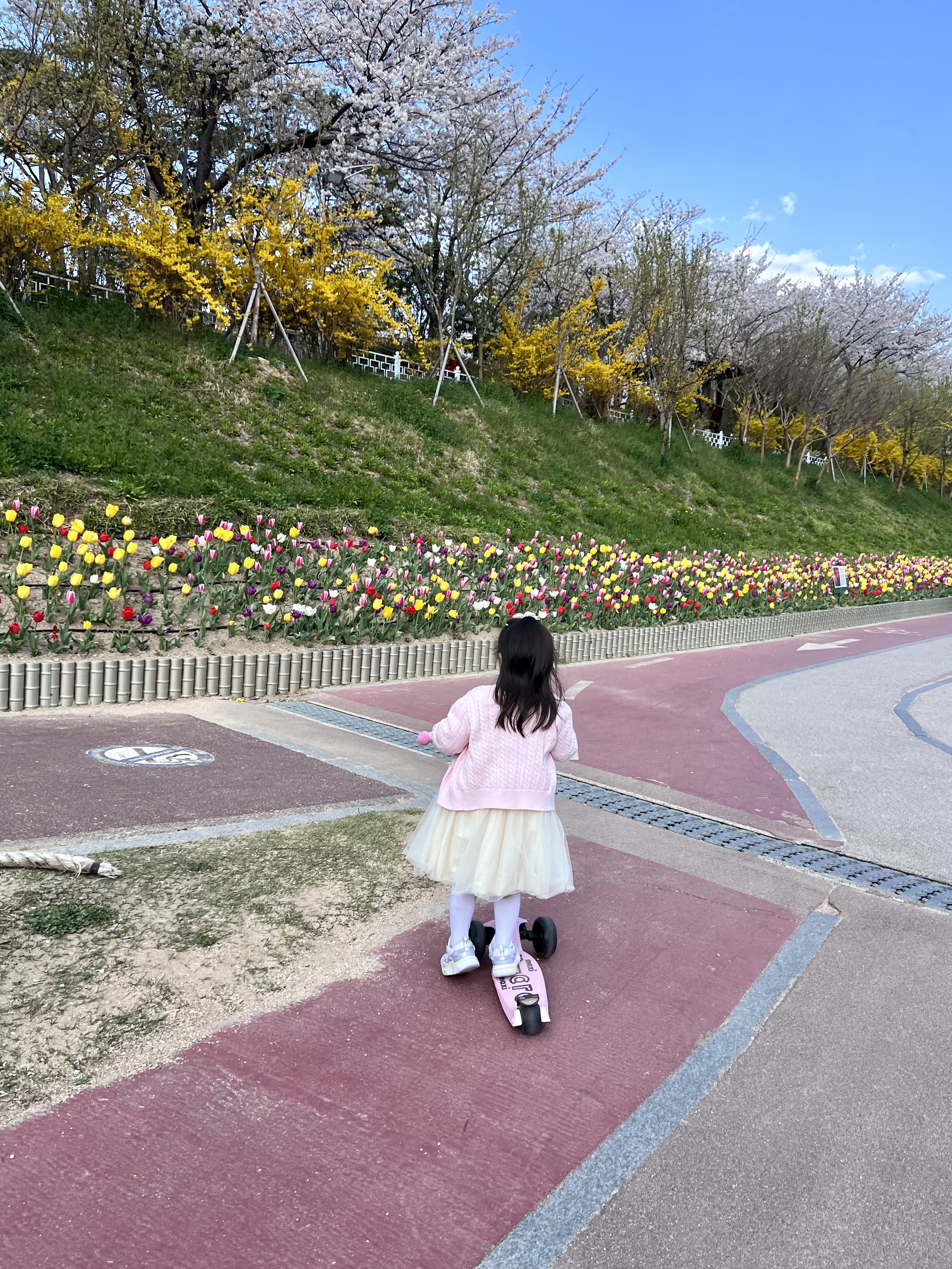 킥보드 성능 비교, 마이크로 킥보드