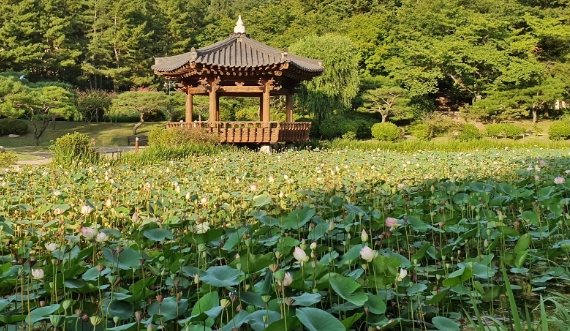 경주이미지