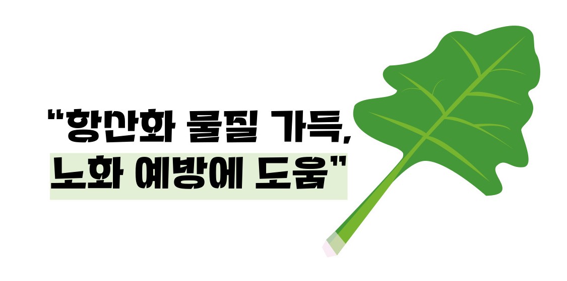케일 효능