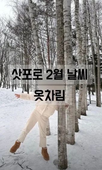 삿포로 날씨 여행 삿포로 지도 꿀팁 정리_8