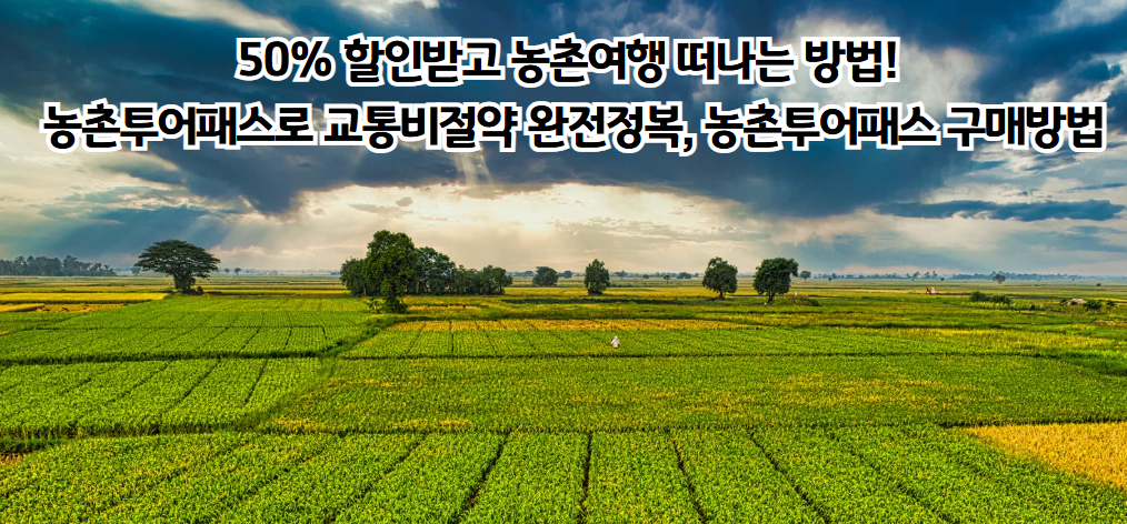 농촌투어패스로 농촌여행이 달라진다! 대중교통 할인과 농촌관광 활성화의 새로운 바람