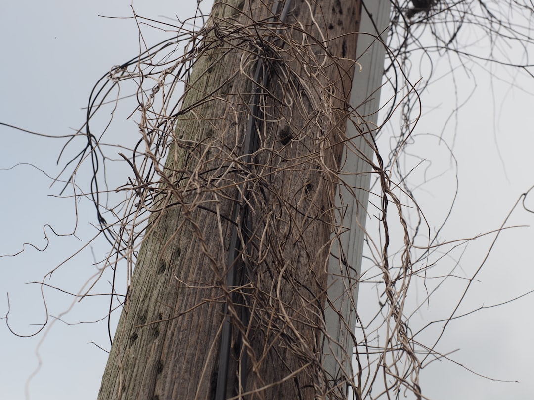 Utility
