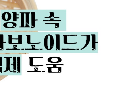 양파즙 효능 고혈압