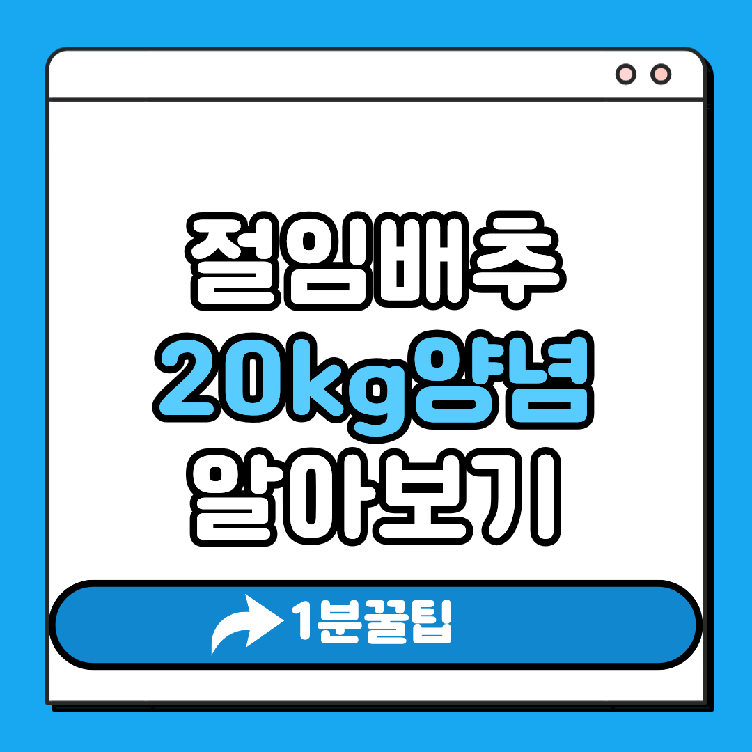 절임배추 20kg 양념