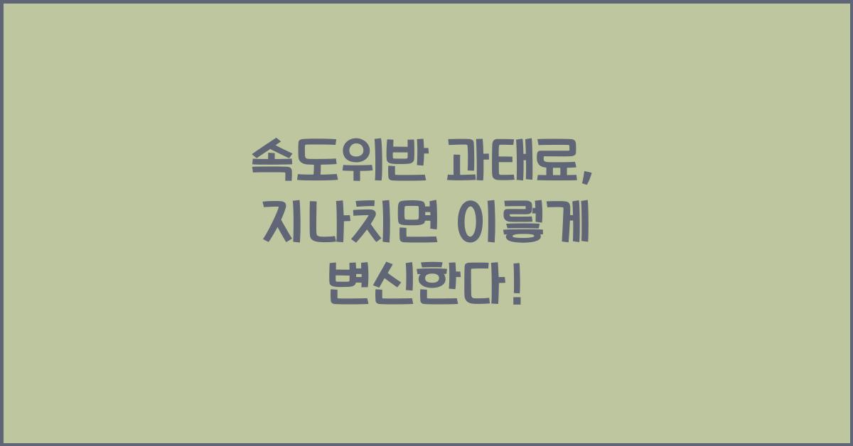 속도위반 과태료