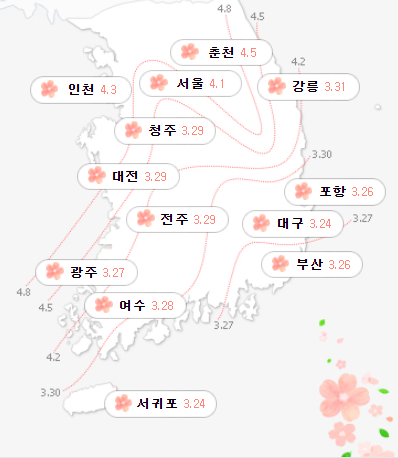 2021 벚꽃 개화 시기