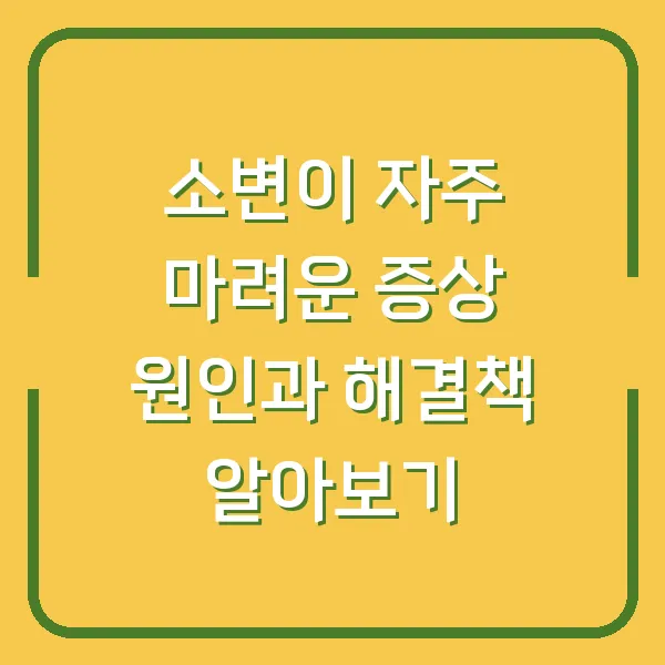 소변이 자주 마려운 증상 원인과 해결책 알아보기