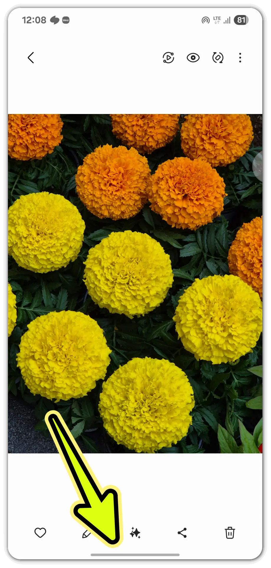 사진으로-꽃-이름-검색-방법