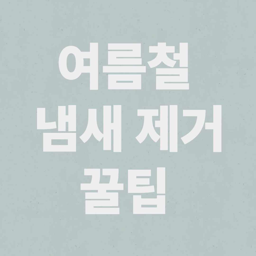 여름철 냄새제거 꿀팁