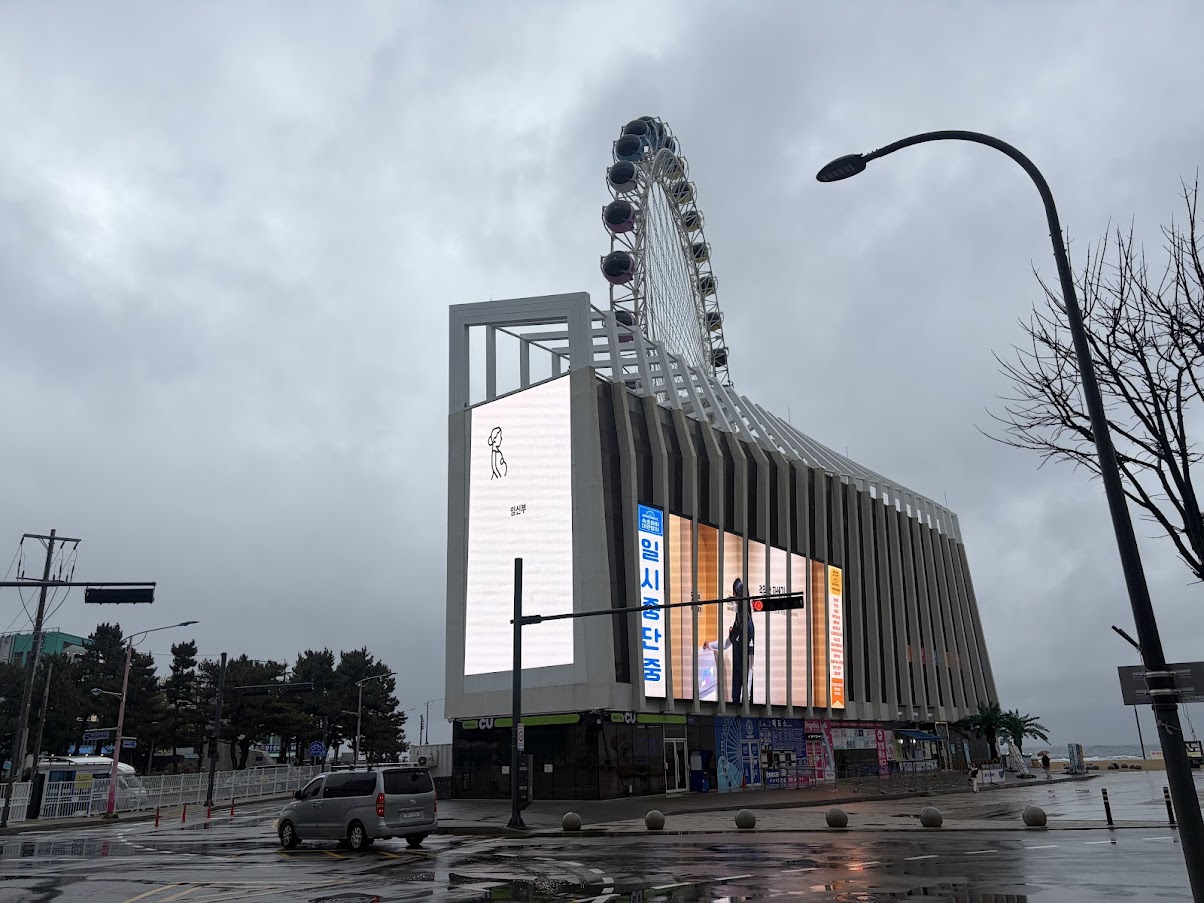 카메라 넥스트랩 프로딘 A앵커 스트랩 레드