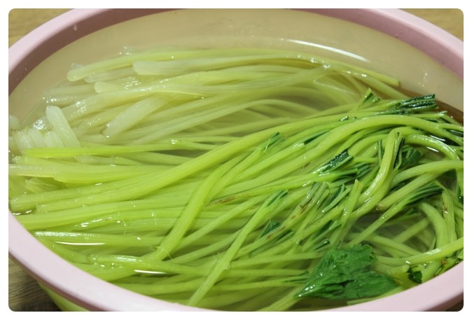 머위 효능 5가지 부작용 머위 데치기는 방법 양념장 뿌리 머위잎 머위즙