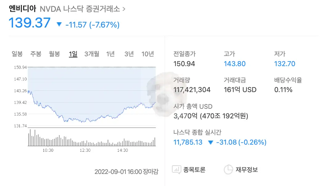 엔비디아 주가