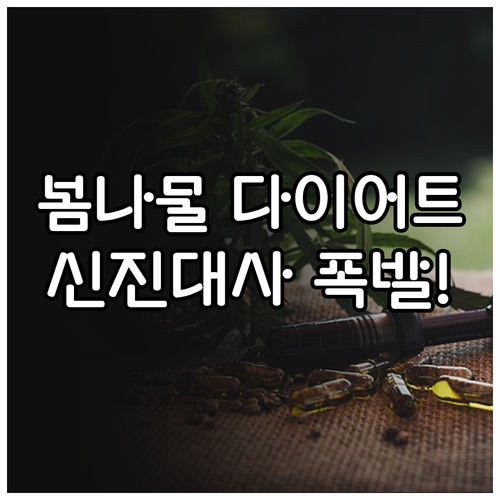 봄나물 다이어트 식단 관리와 신진대사..
