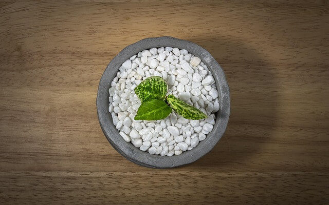 테라리움 키트와 식물 선택 가이드