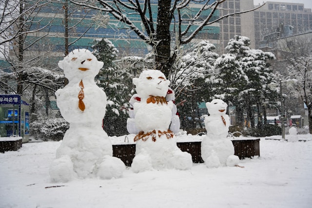 대설특보 학교 휴업 기준 3분 완벽 정리