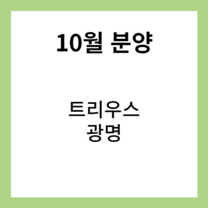 트리우스 광명