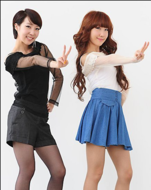 윙크 가수 데뷔