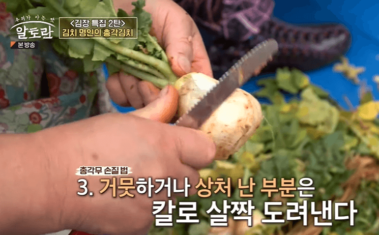 알타리 김치 총각김치 맛있게 담는법
