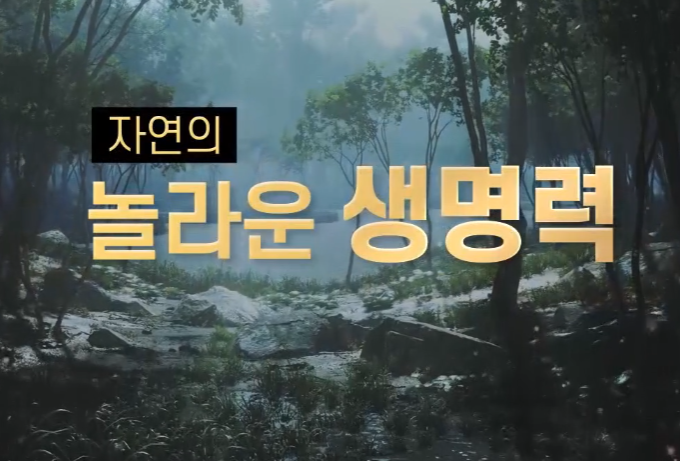 침향환 효능&amp;#44; 가격&amp;#44; 모든 것!(광동 침향환 집중 분석) 