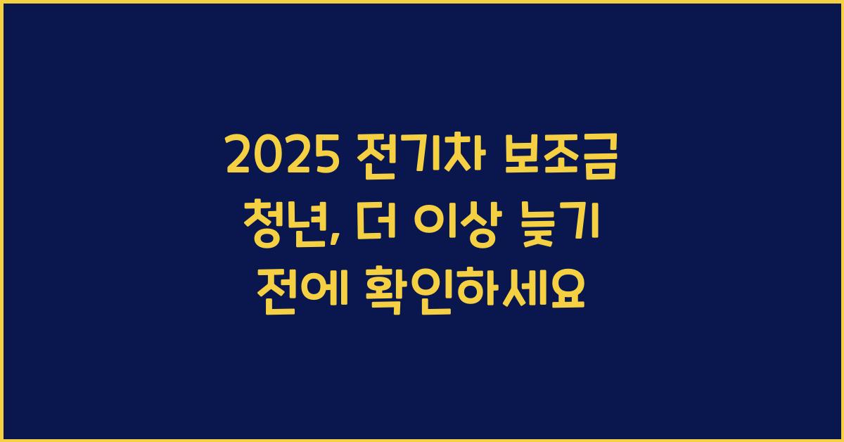 2025 전기차 보조금 청년