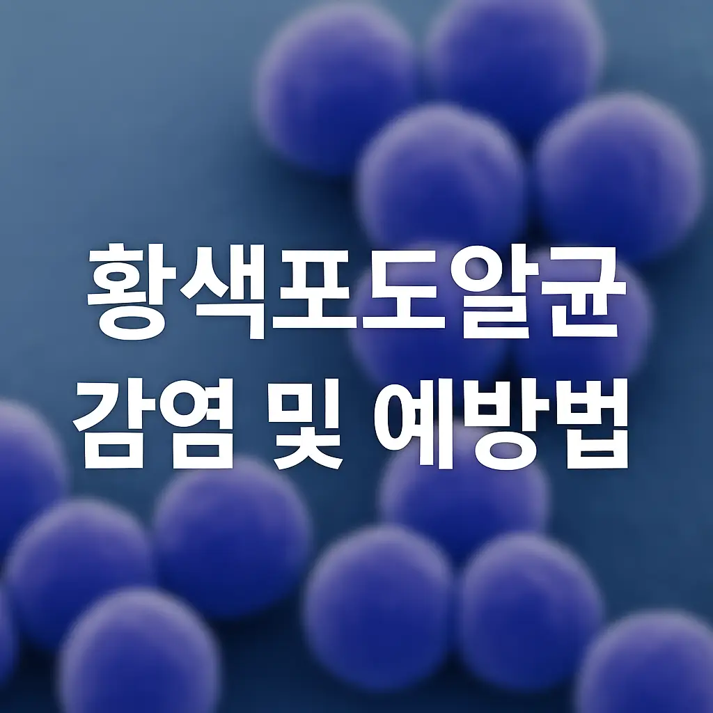 황색포도알균