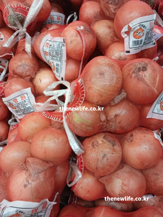 혈관 내벽의 기름을 제거하는 고지혈증에 좋은 음식 양파 실사진