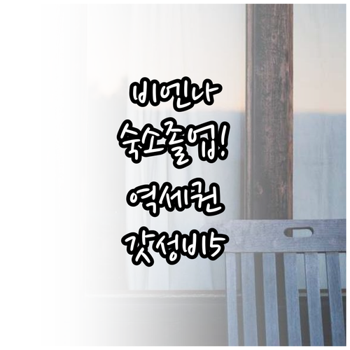 비엔나 숙소 추천 중앙역 서역 근처 ..
