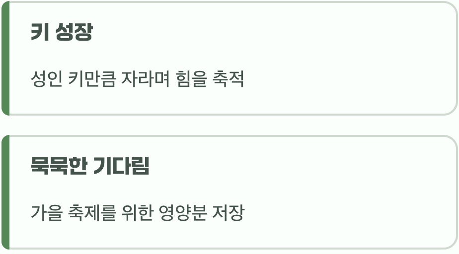 여름&amp;#44; 하늘을 향해 뻗어가는 기다림