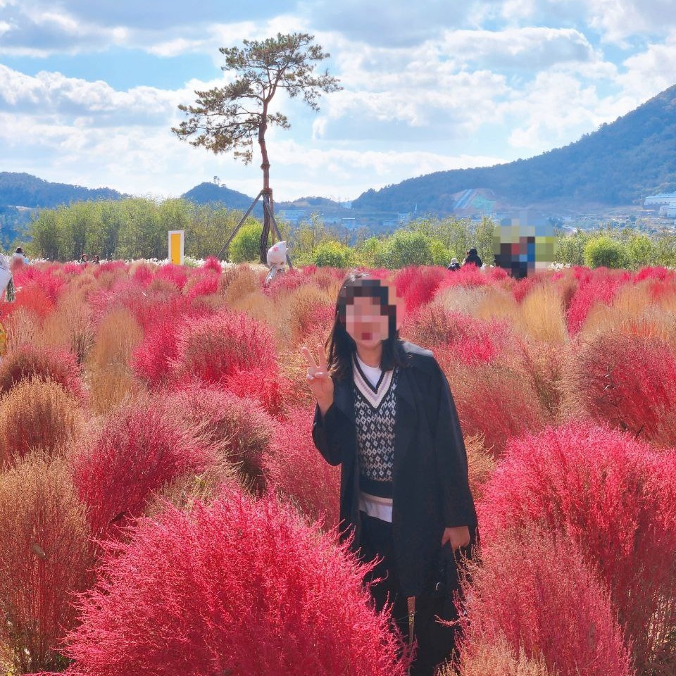 댑싸리밭 사진입니다.