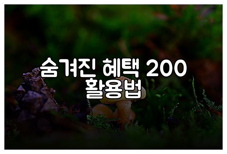 숨겨진 혜택 200 활용법