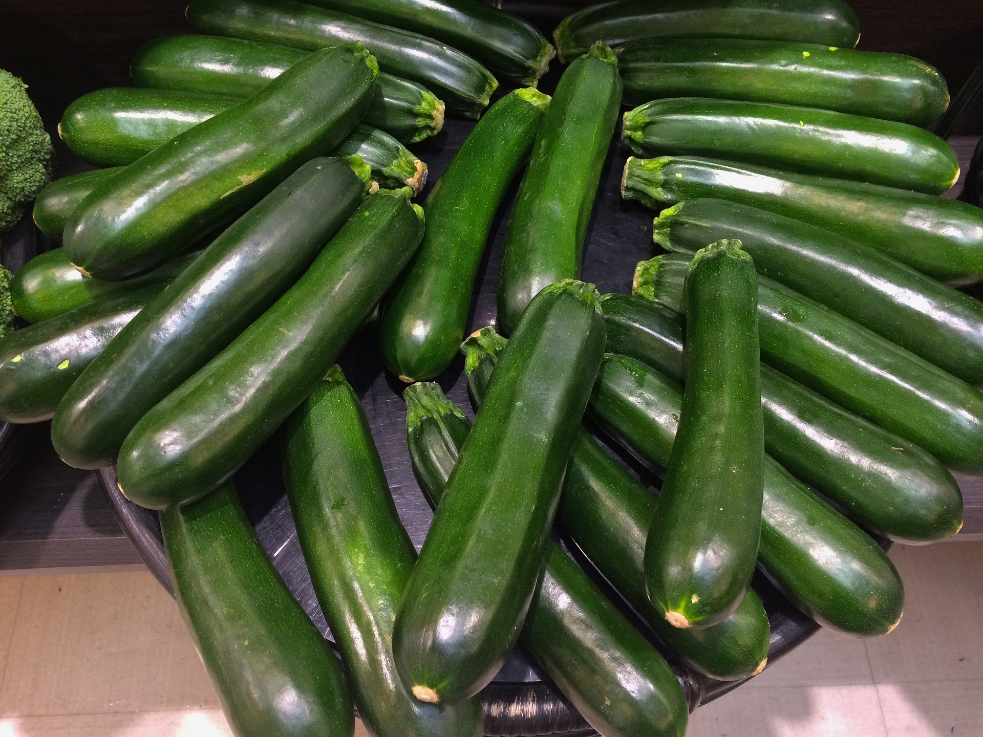 바닥에 검은 쟁반을 두고, 그 위에 밭에서 채취를 한 싱싱하고 초록색이 짙은 동아를 잘 세척해서 가득 담아 둔 사진