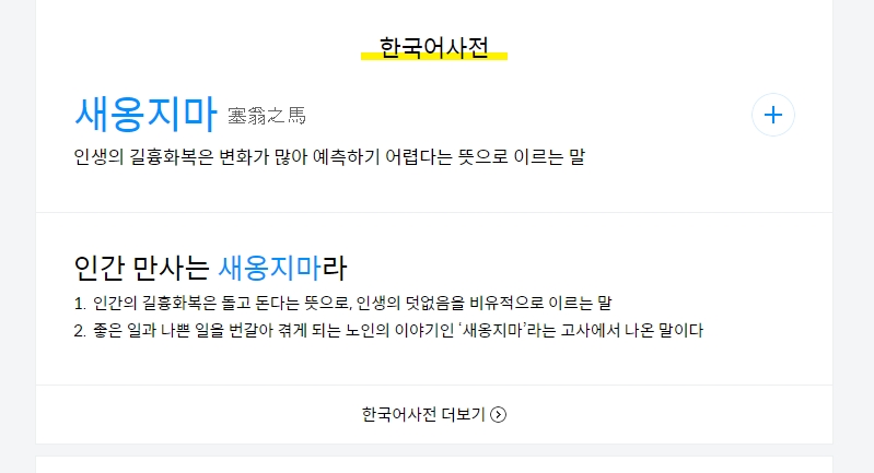 새옹지마 한자 풀이와 의미
