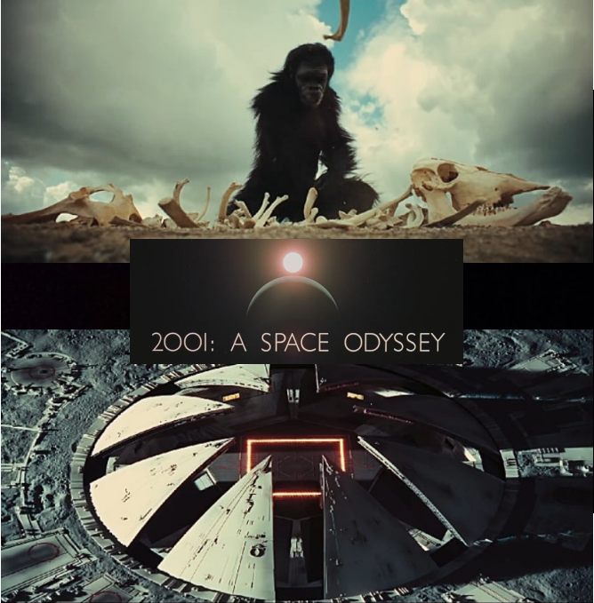 영화속 상징 침팬지 관련 이미지