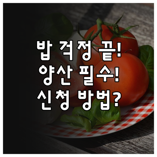 2025 양산시 저소득 식사배달 지원..