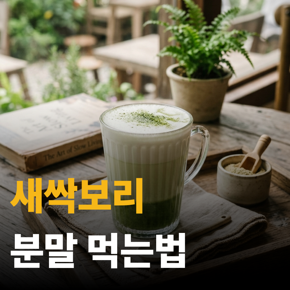 새싹보리 분말 먹는법