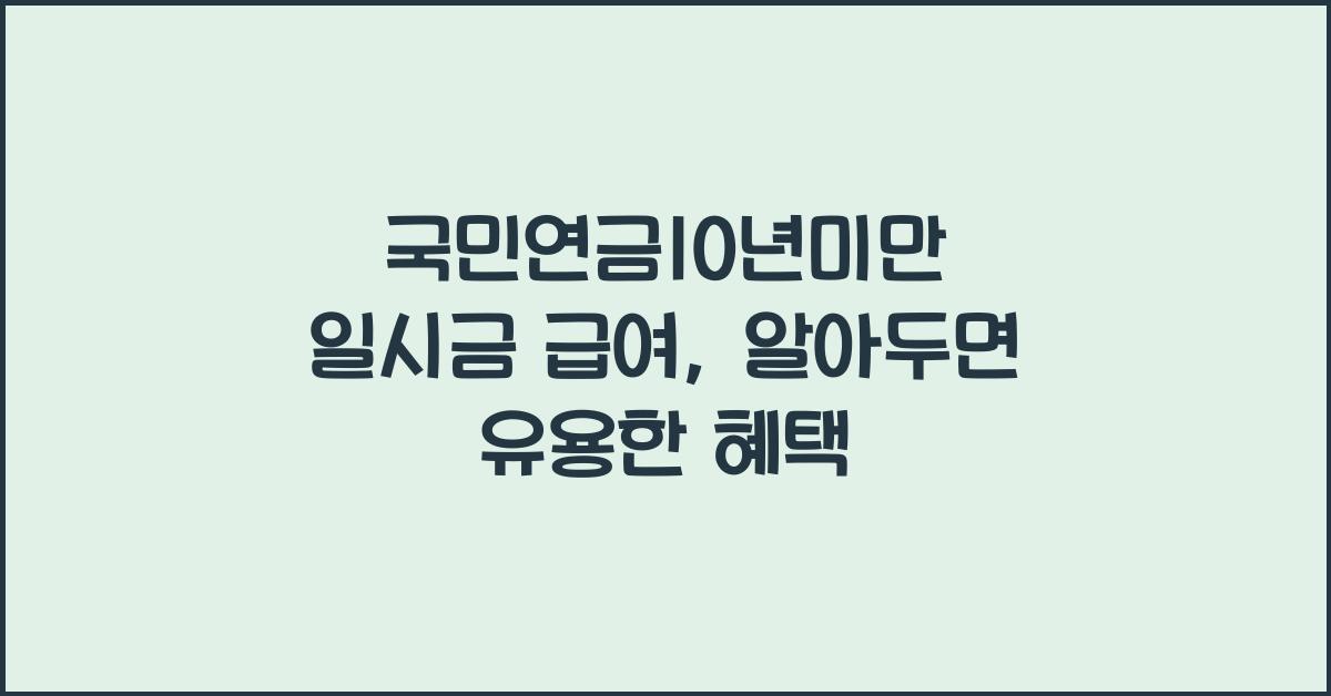 국민연금10년미만 일시금 급여