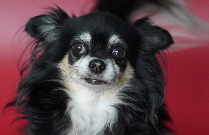 왜 영양제가 필요할까요? 관련 사진