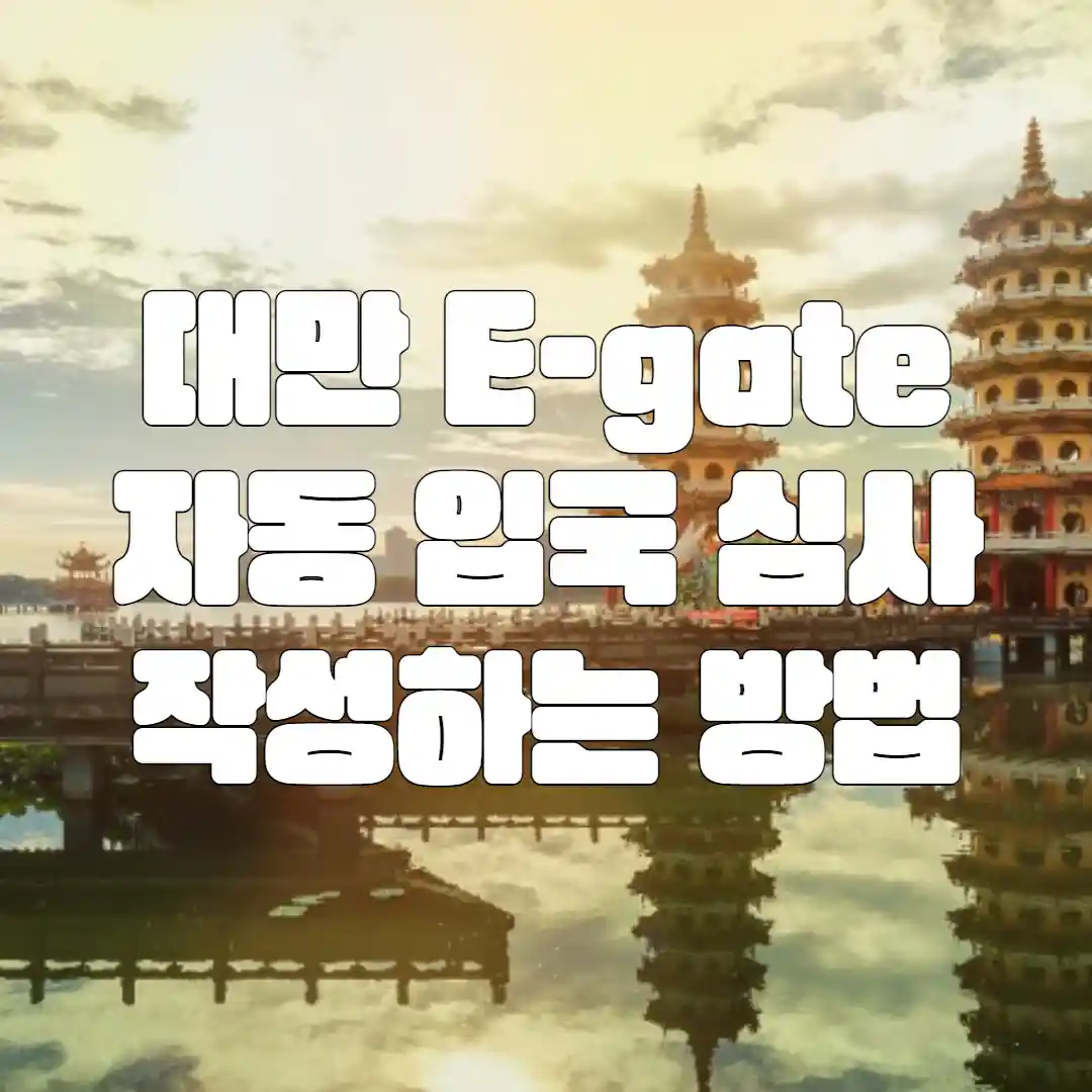 대만 입국 E-gate(자동 입국심사) 신청서 작성하는 방법