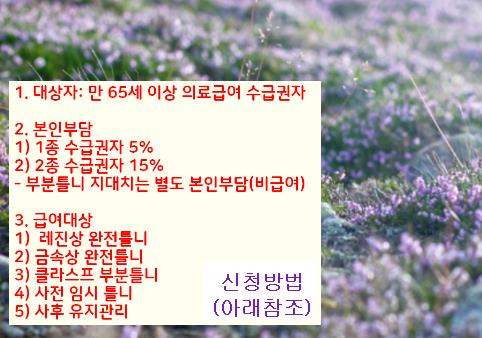 틀니 지원금