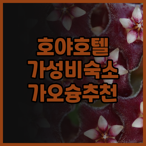 HOYA 리조트 호텔 가오슝 후기 가..