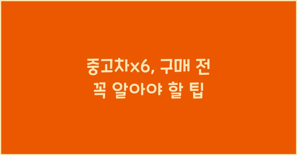 중고차x6