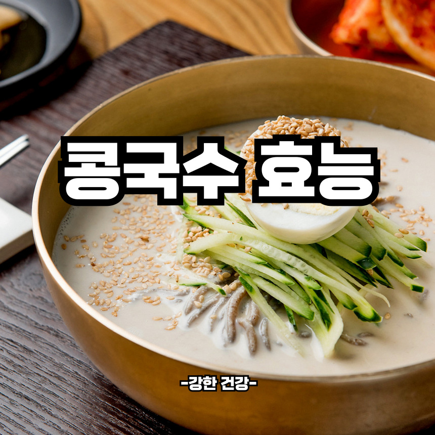 콩국수 효능