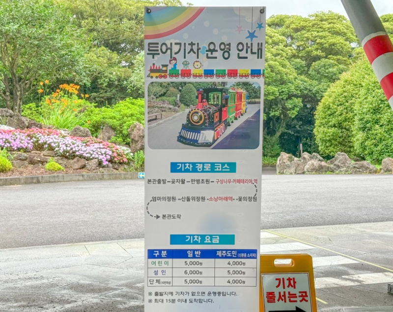 제주 서귀포 수국길