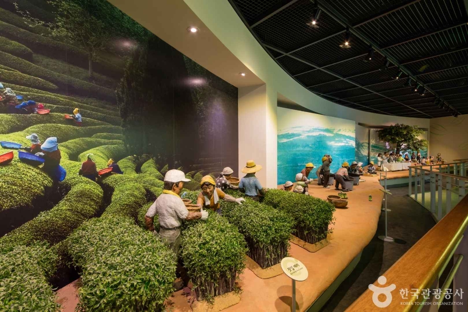 보성 가볼만한곳 베스트10