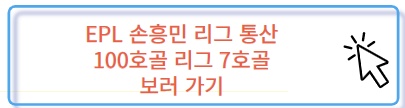 손흥민 토트넘 브라이튼 리그 7호골 통산 100호골 보러 가기