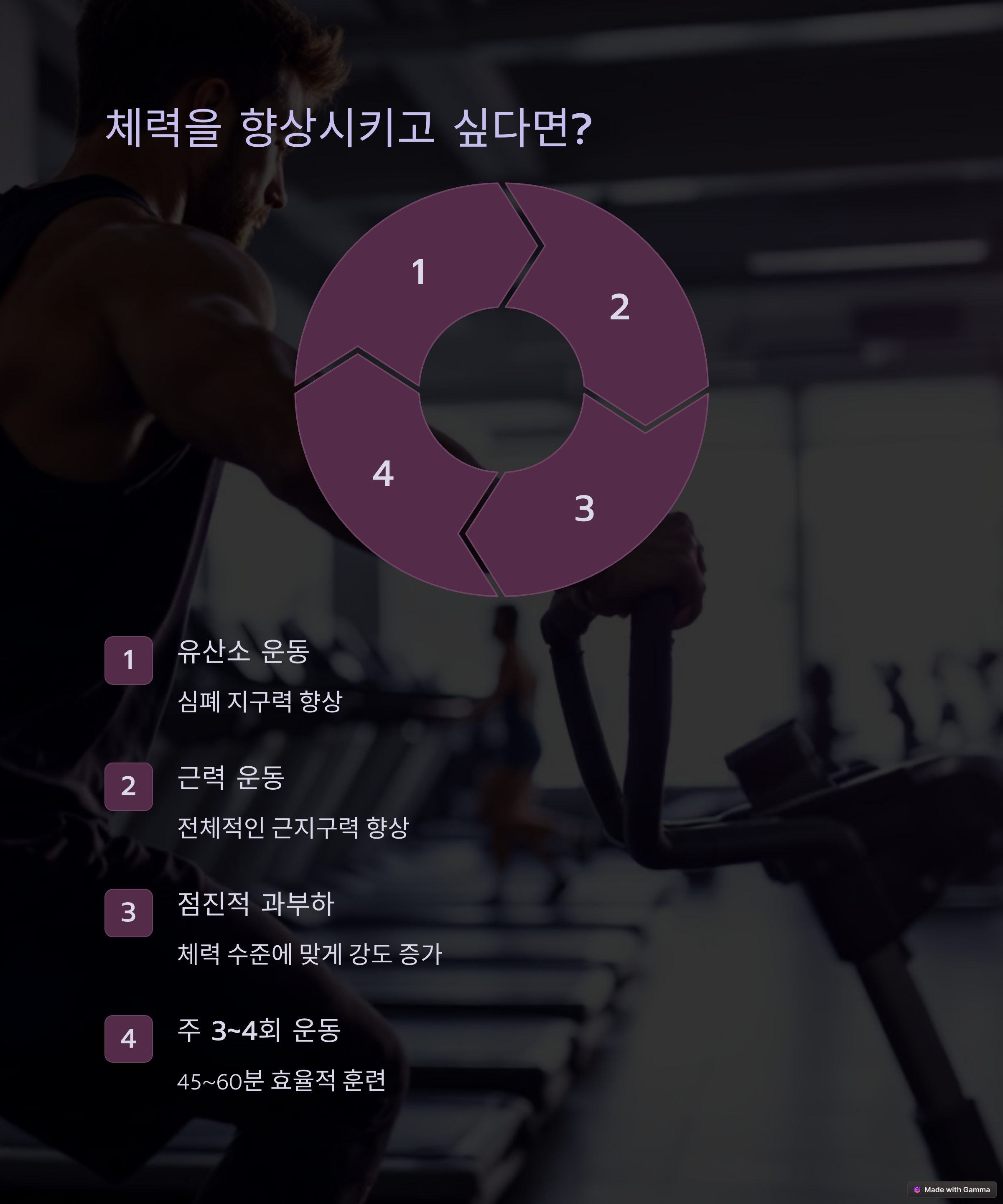 운동 프로그램 분석